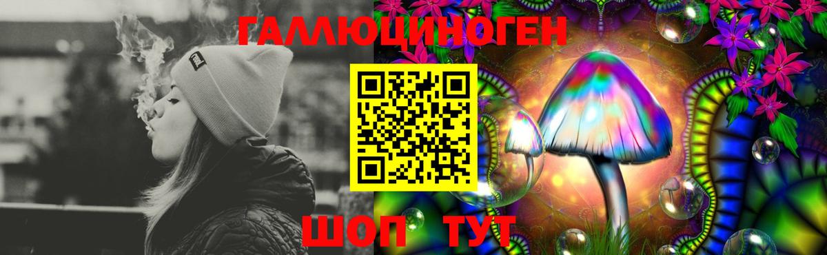 Галлюциногенные грибы GOLDEN TEACHER  Вход с VPN  Топки  Галлюциногенные грибы Cubensis 
